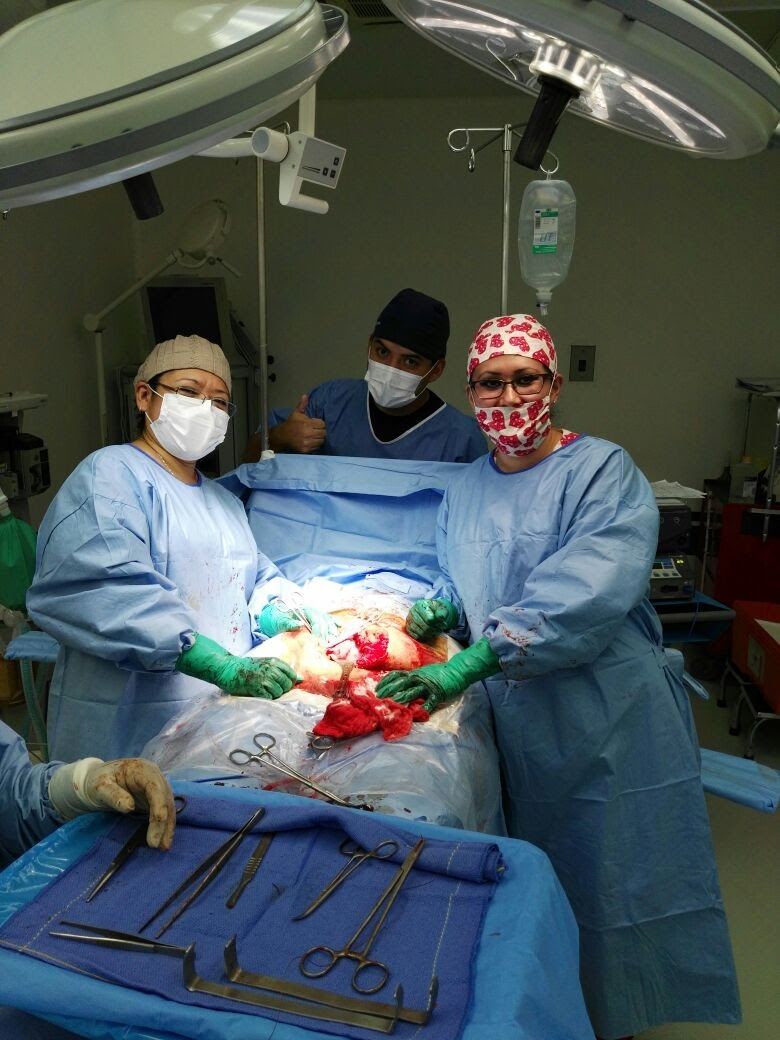 Leda Minerva Vargas Alarcón-0