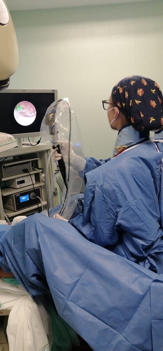 Adriana Hernández Magallanes-12