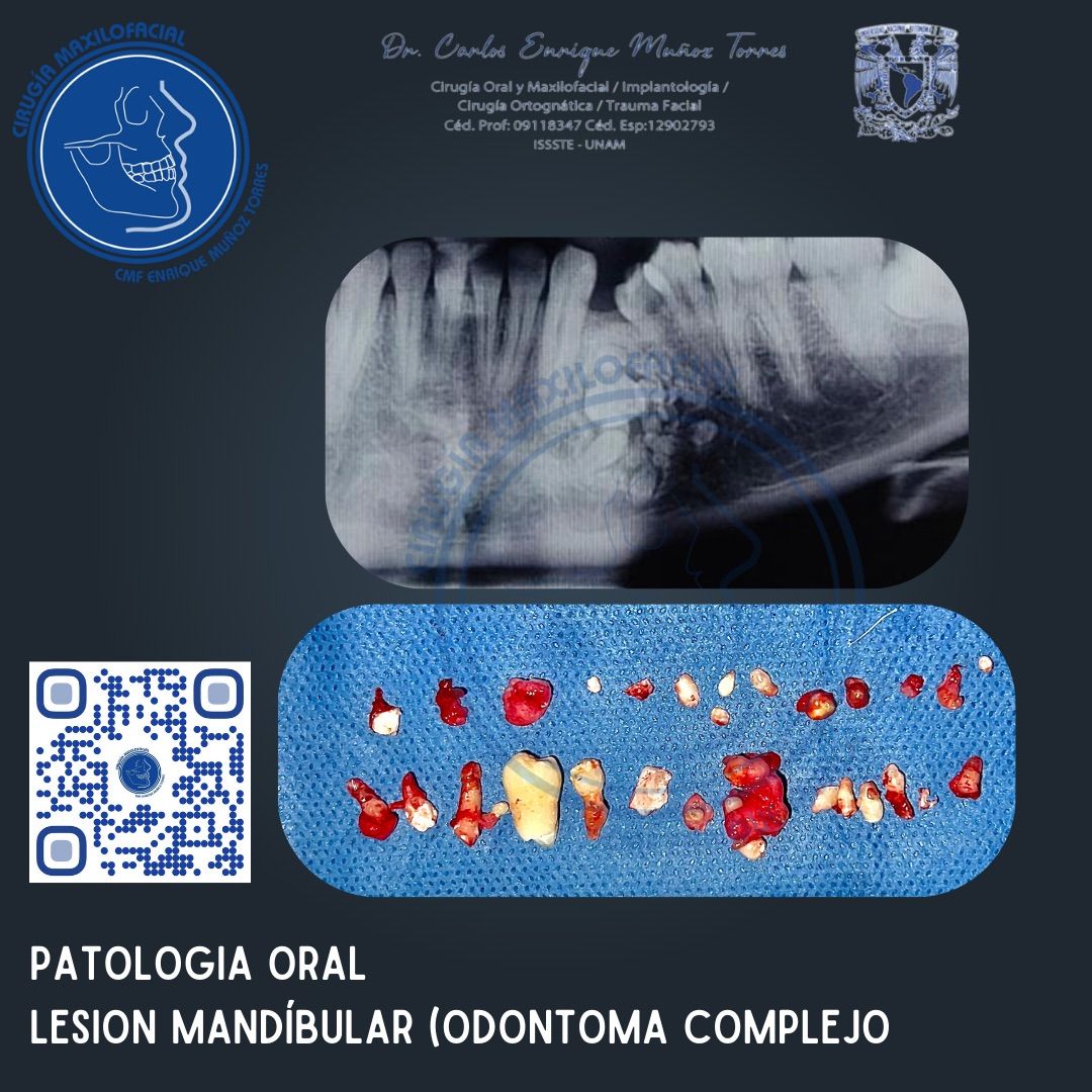 Carlos Enrique Muñoz Torres-8