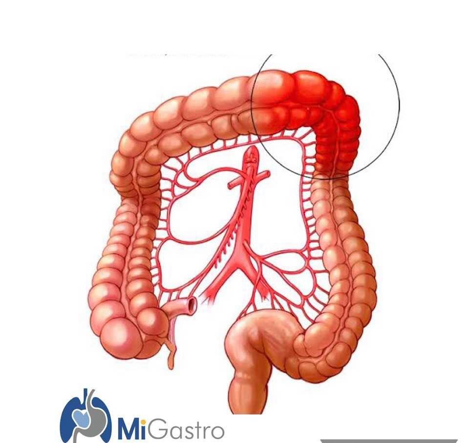 Ricardo González Moresco-4