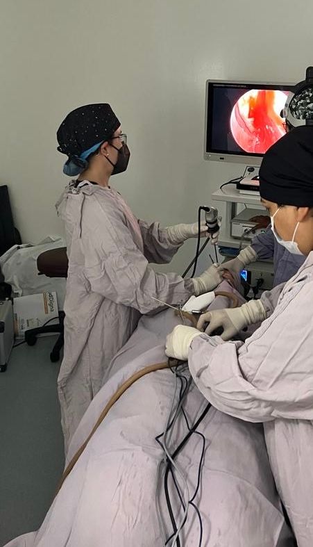 Paulina Morando Domínguez-2