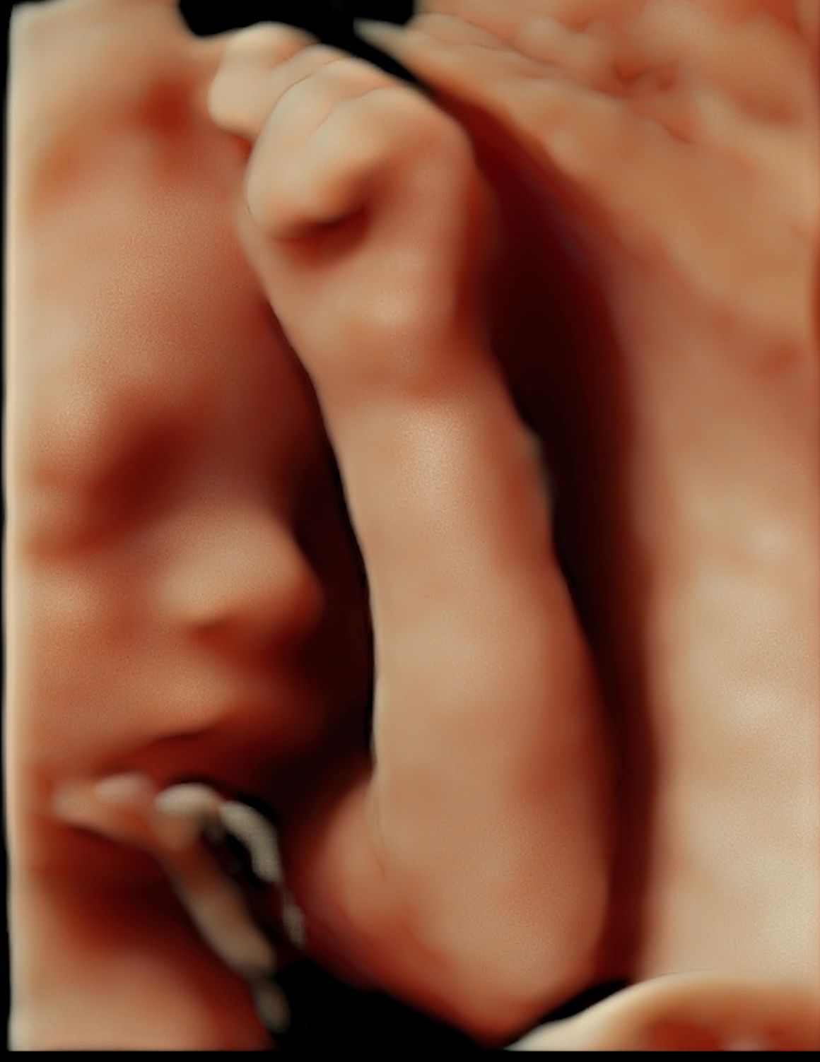 Dulce Anabel Jarquin Arango-43