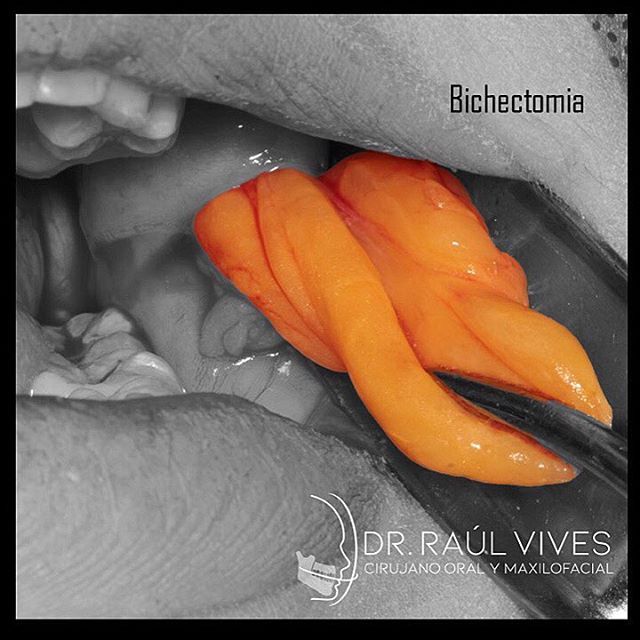 Raúl José Vives Serrano-4