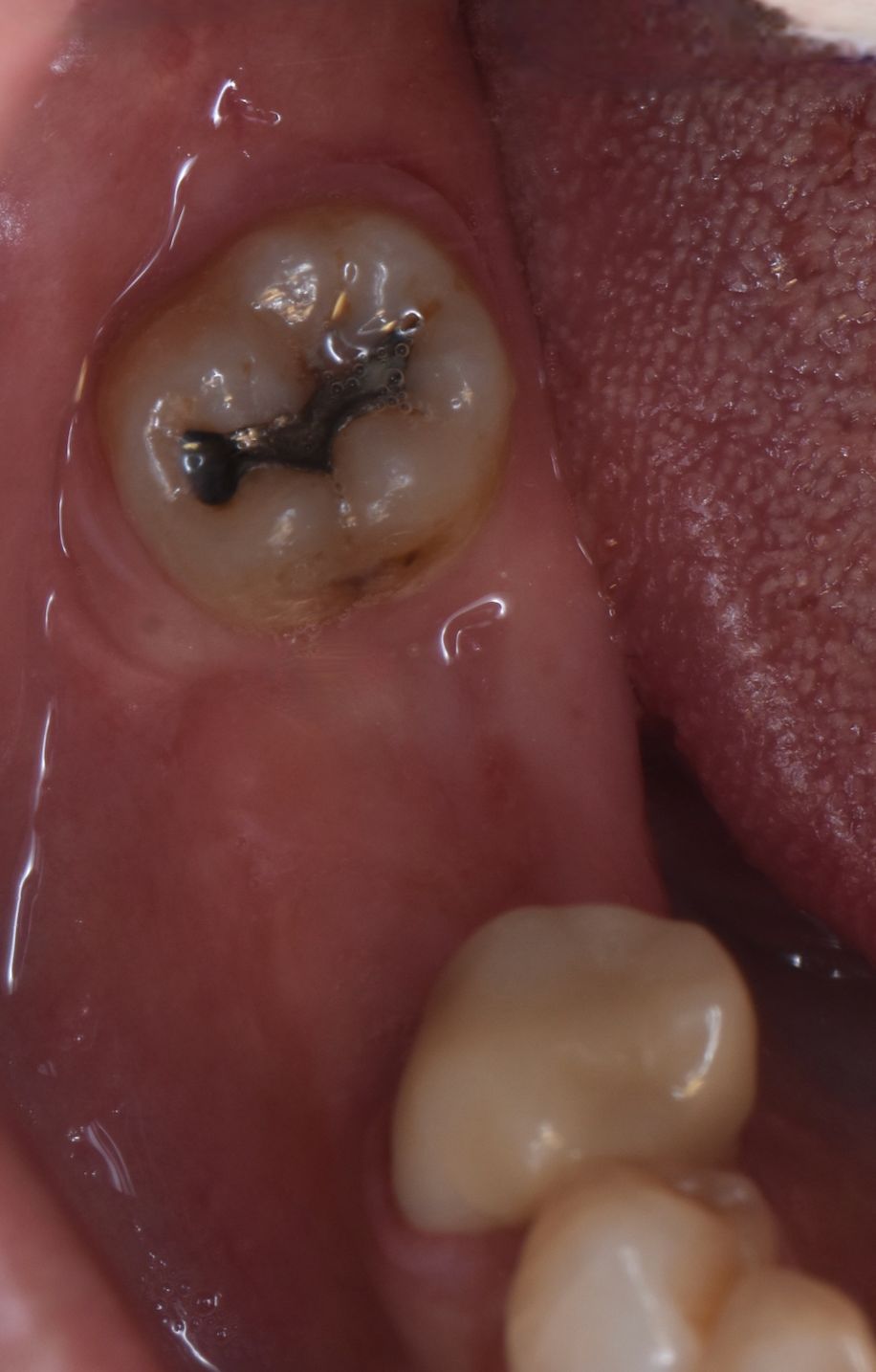 Alejandra Rodríguez Goncalves-19