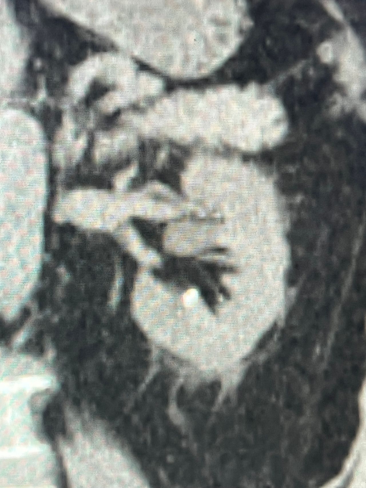 Rogelio Hernández García-89