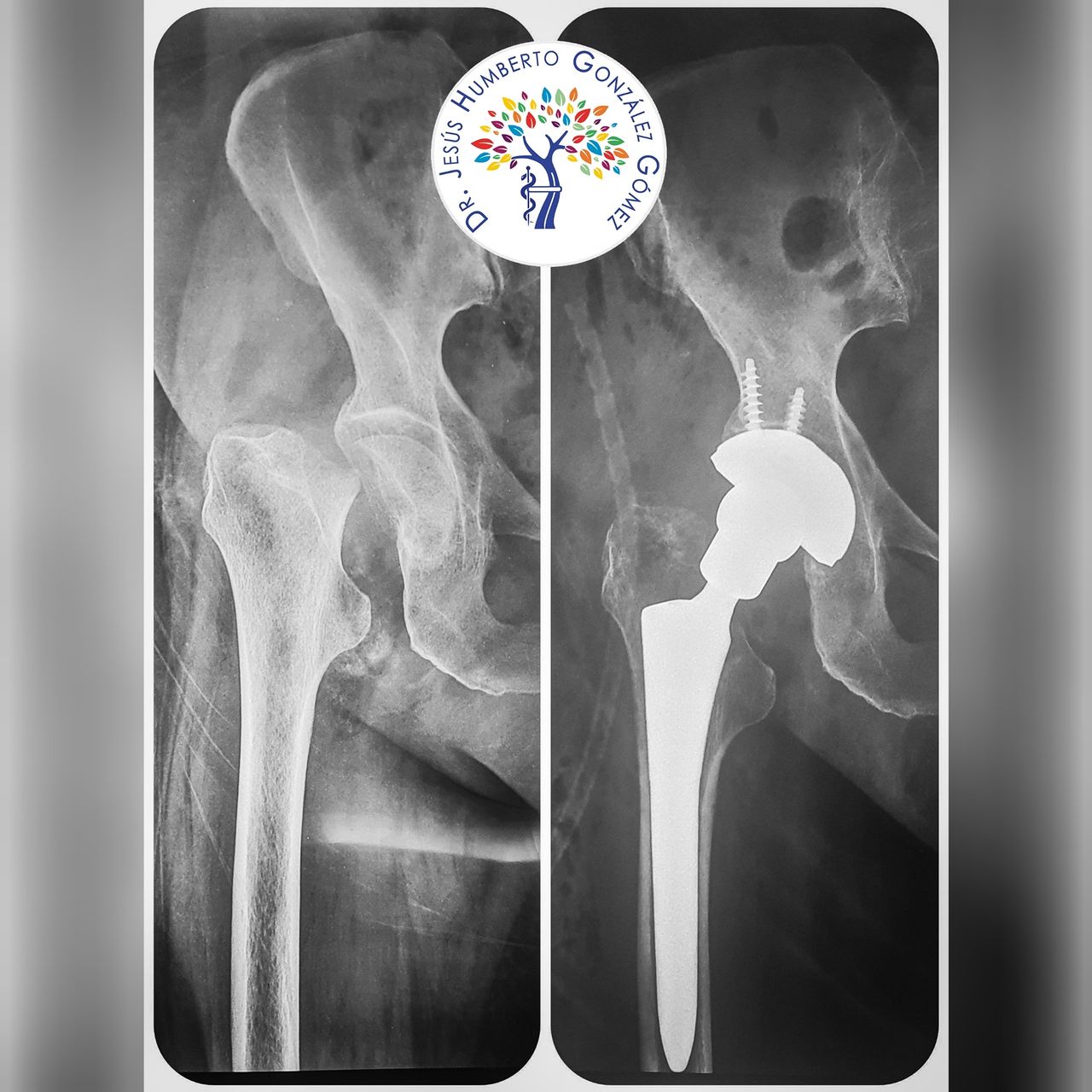 Jesús Humberto González Gómez-13