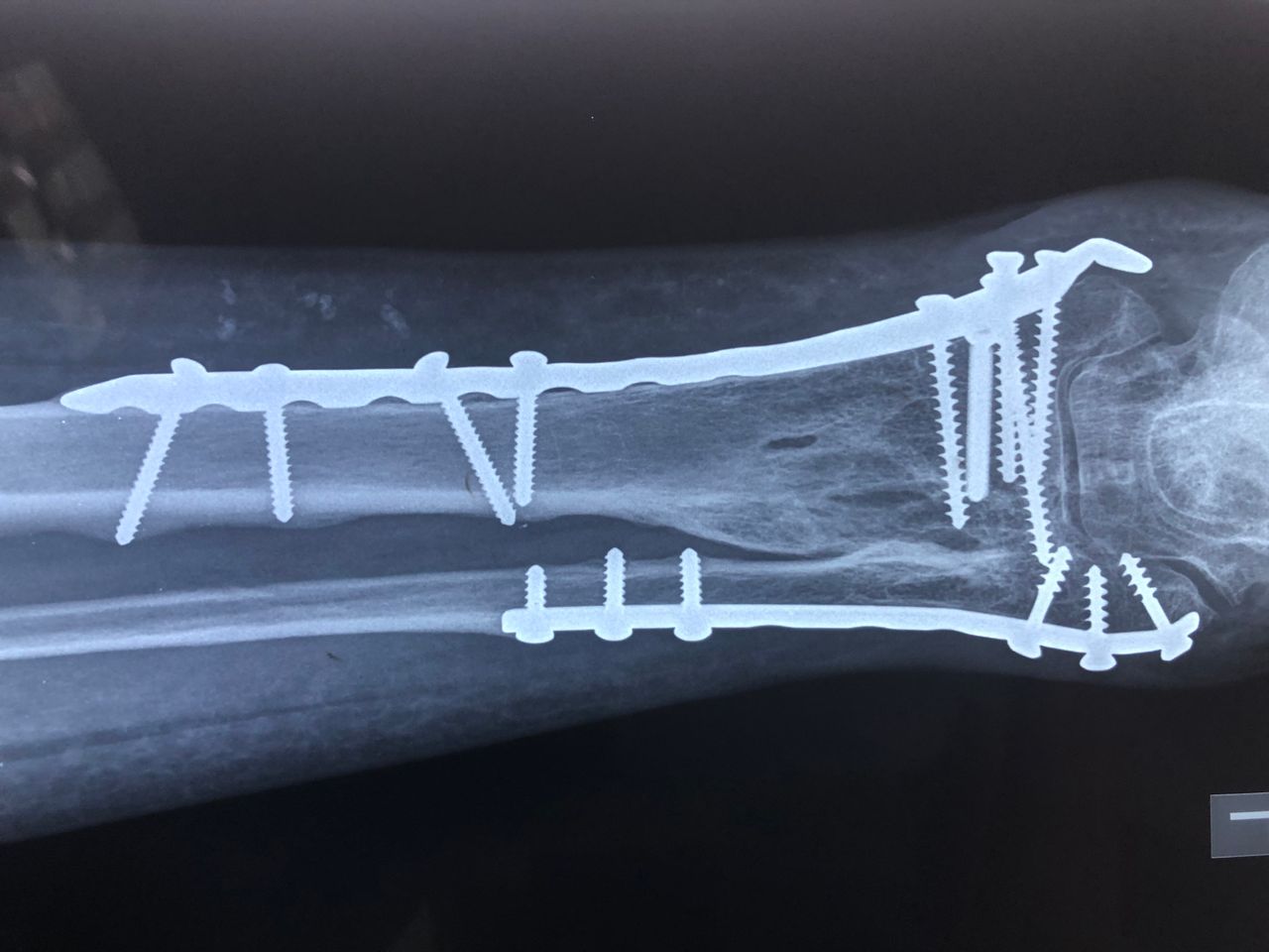 Alejandro Bayo Del Castillo-8