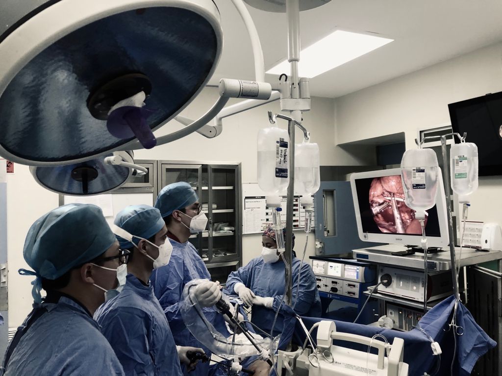 Alfredo Rodríguez Falconi-9