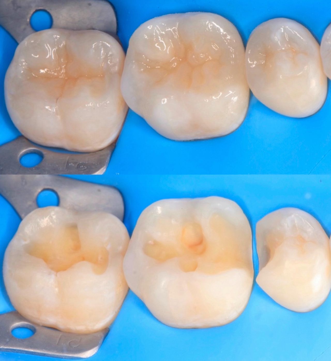 Ulises Alvarado Rodríguez-21