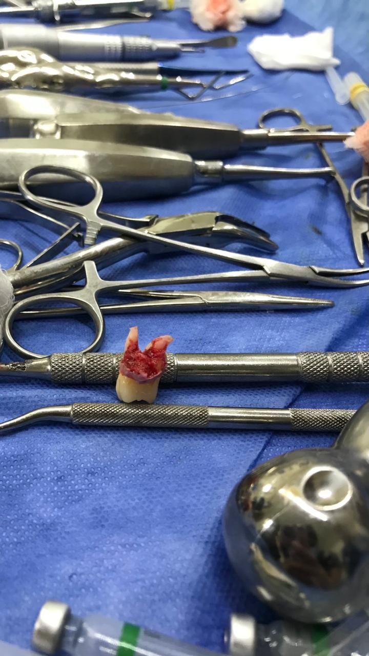 Miguel Tapia Ruiz-11