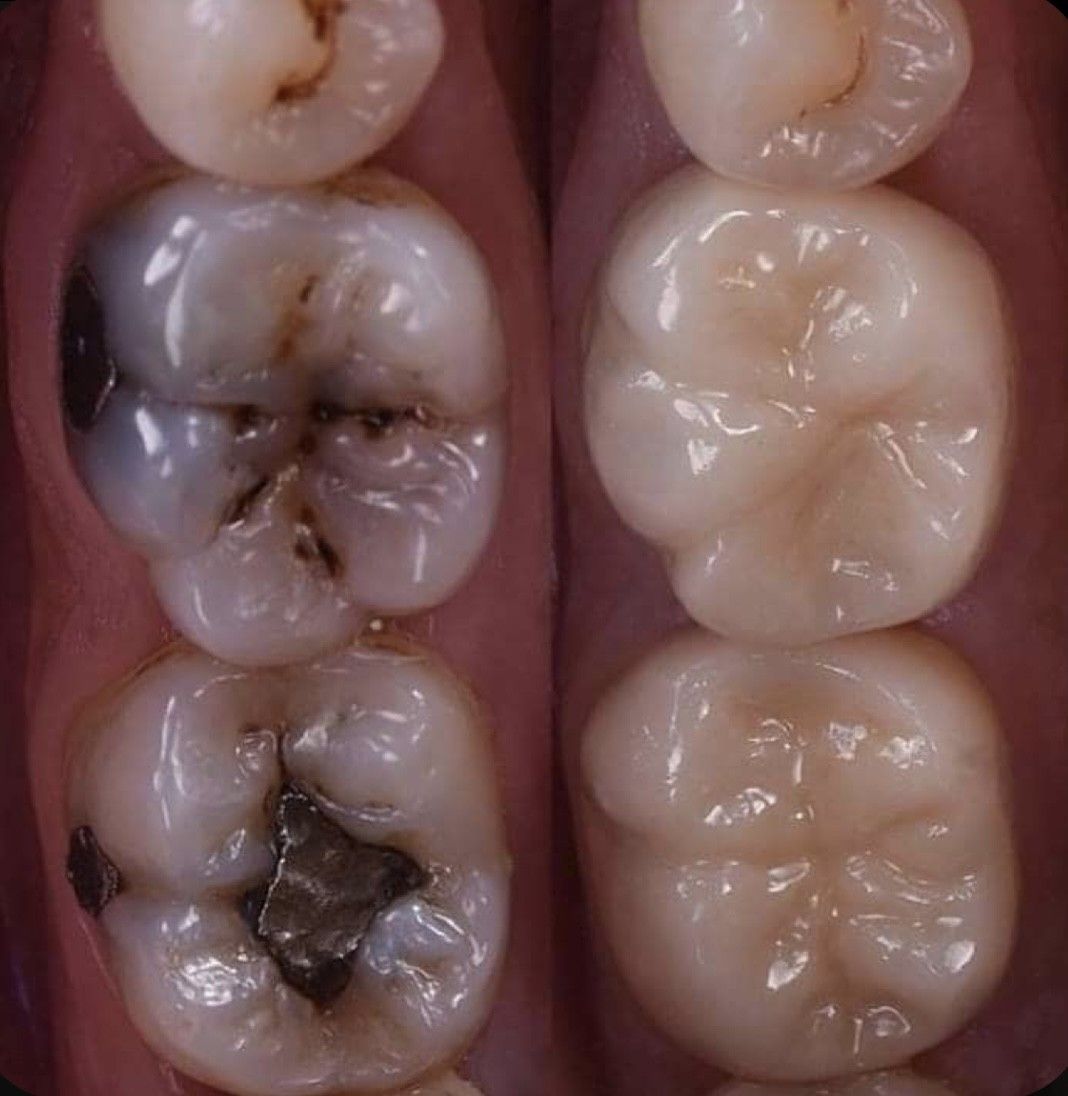 Esmeralda Candida Guerrero Pimentel-16