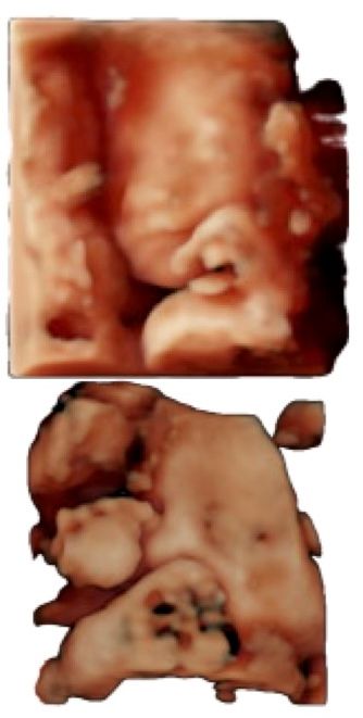 Sergio Hugo Vizcarra Ugalde-3