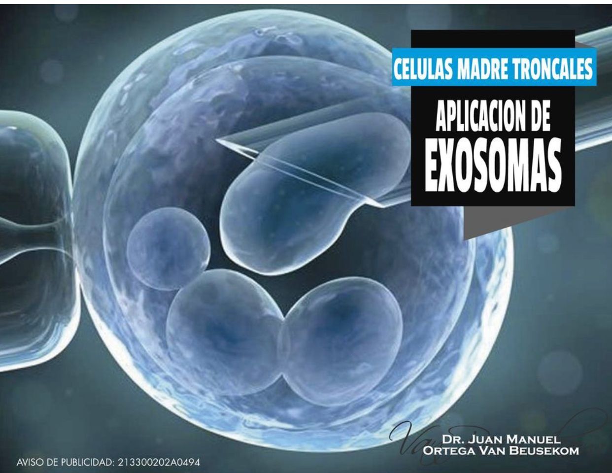 Juan Manuel Ortega Van Beusekom-4