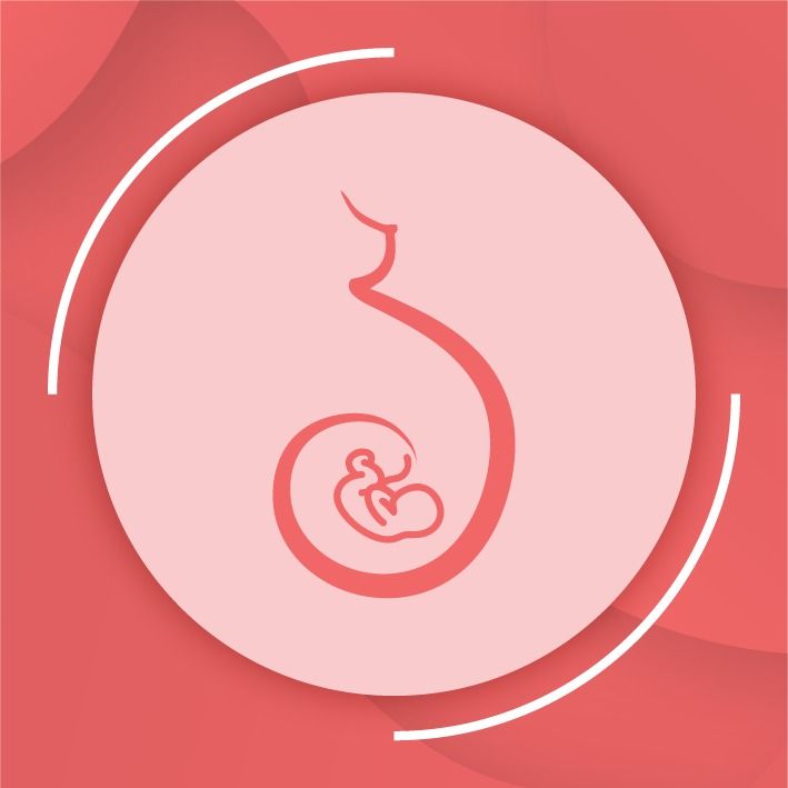 José Antonio Garibay Palacios-1