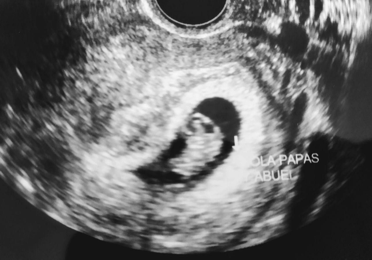 Tannia Paulina Caro Gomez-8