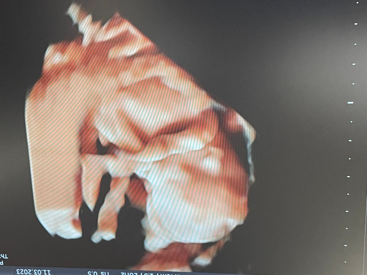 Mayi Mayret Mesquiti-3