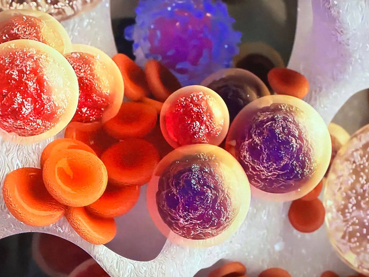 Sandra Guadalupe Pulido Sánchez-2