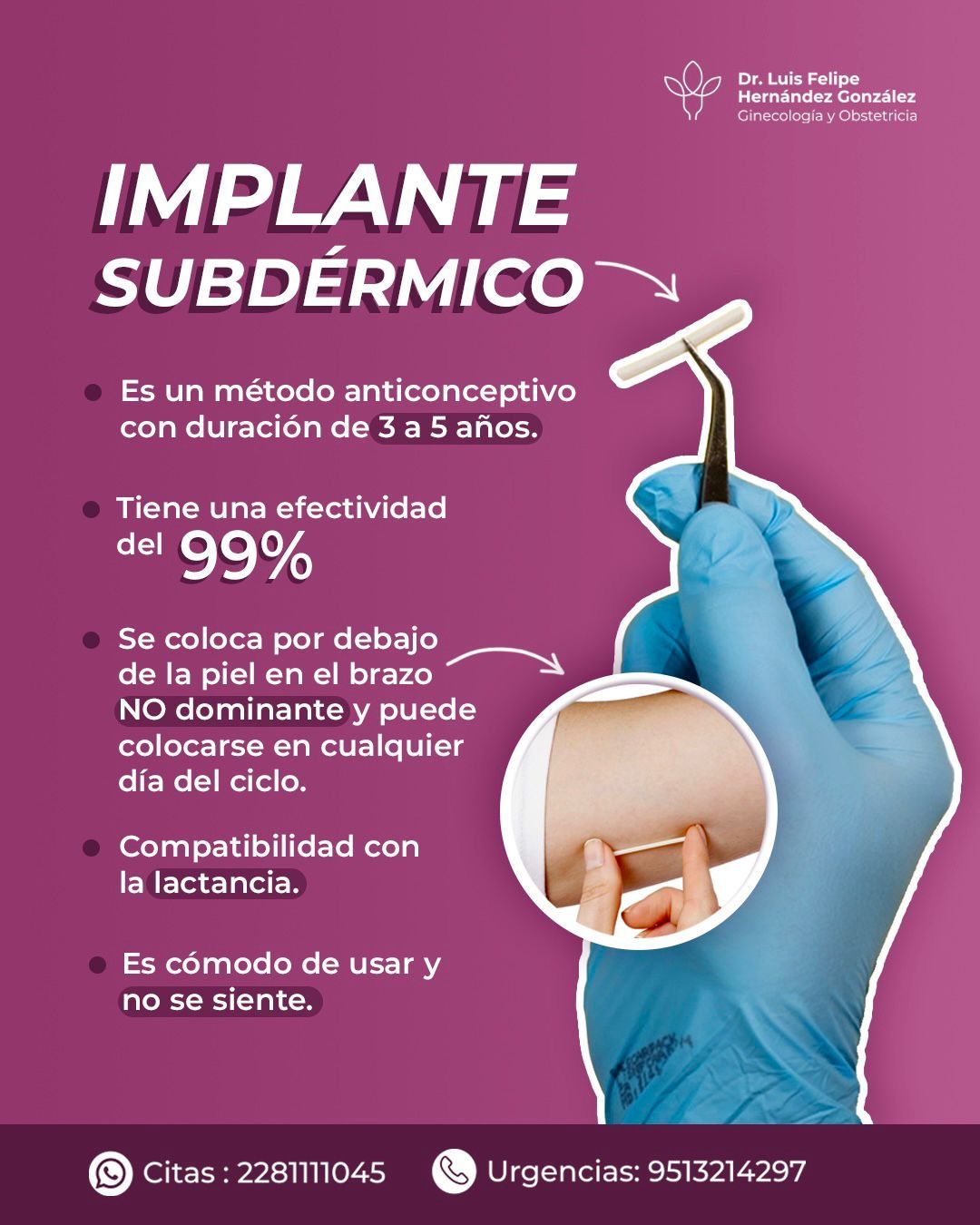 Luis Felipe Hernández González-14
