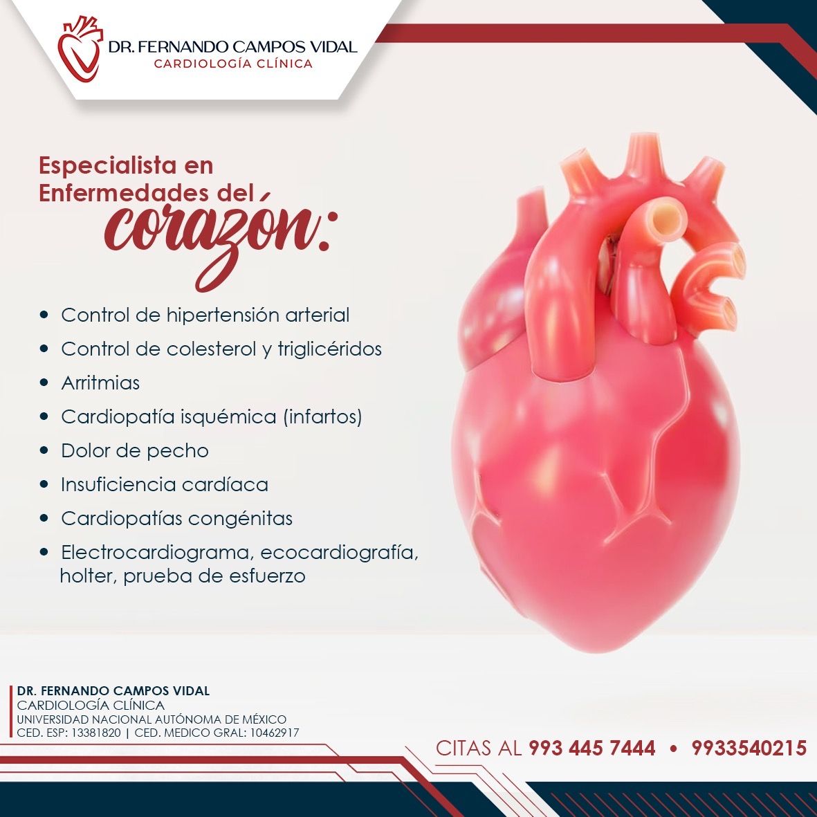 Fernando Campos Vidal-6