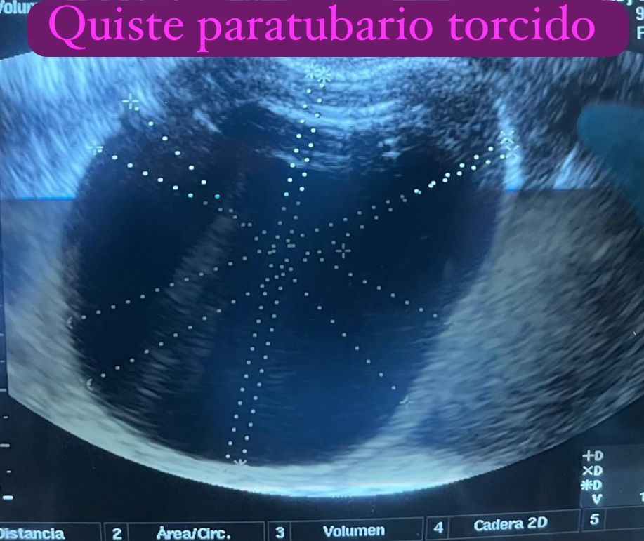 Sandra Faviola Dávila Molina-0