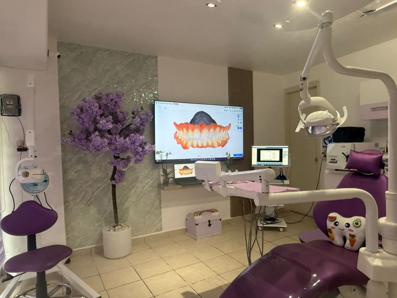 Frida Catalan Verdi-4