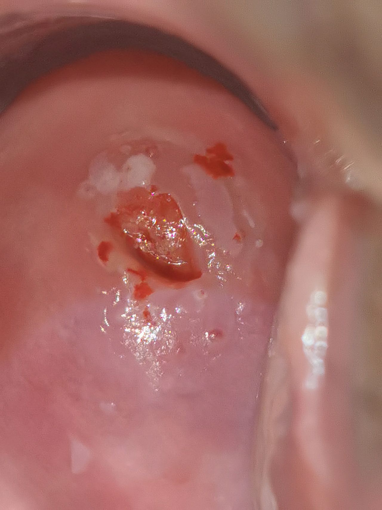 Marisol I. Alvarez Carrasco-33