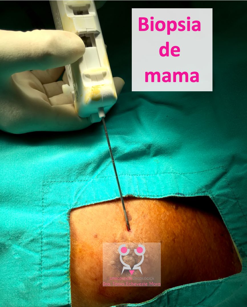 Miguel Antonio Uribe Uribe-5