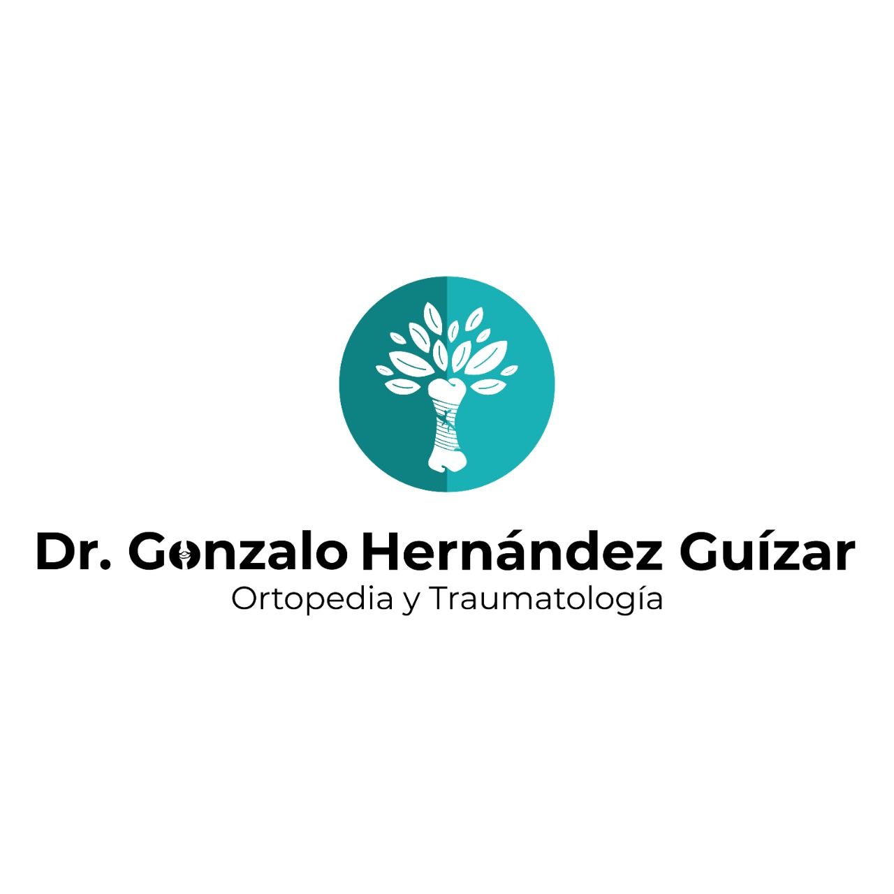 Gonzalo Hernández Guízar-5