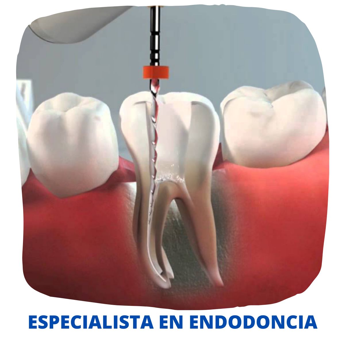 Jorge Benjamin Amezcua Ramos-48
