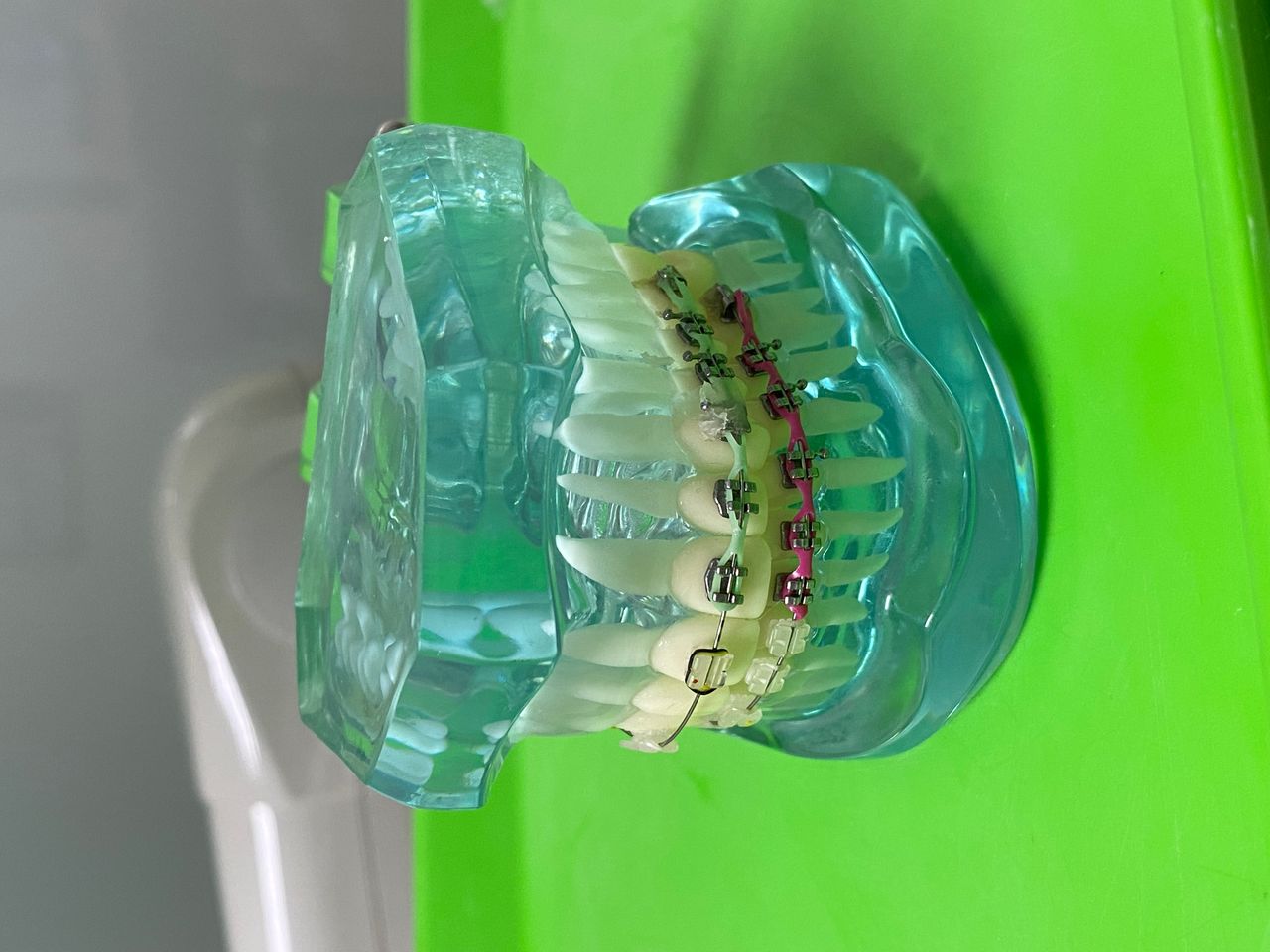 Adriana Ascanio Inciarte-9