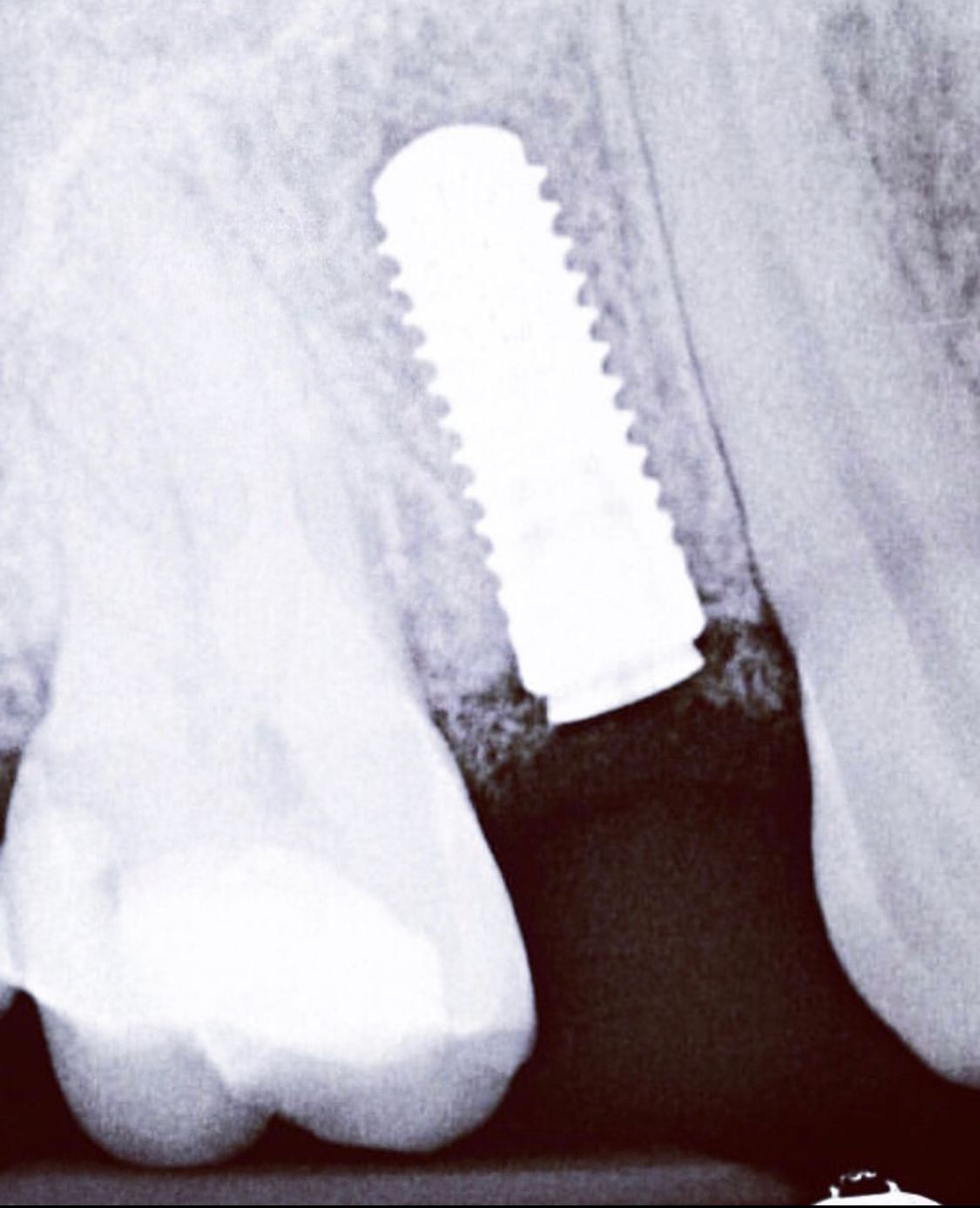 Deborah Vargas Benitez-5