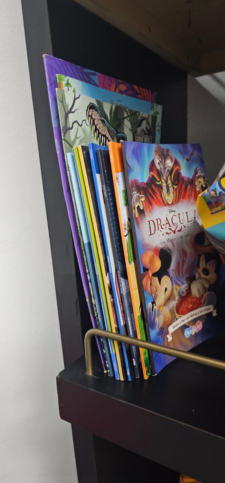 Miriam Jahel Ortega Santiago-1