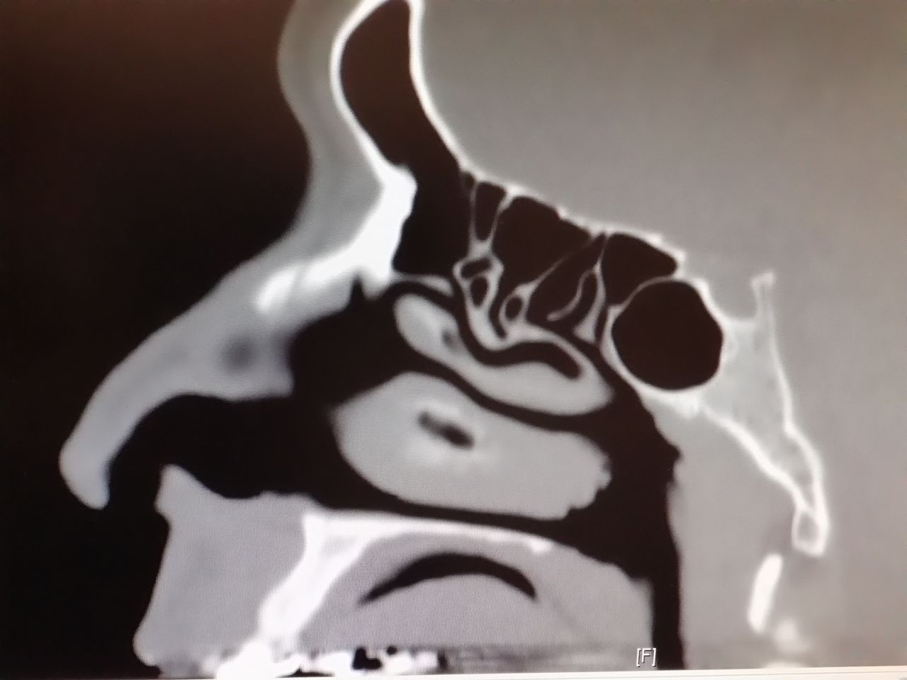 Diana Rivero Méndez-2