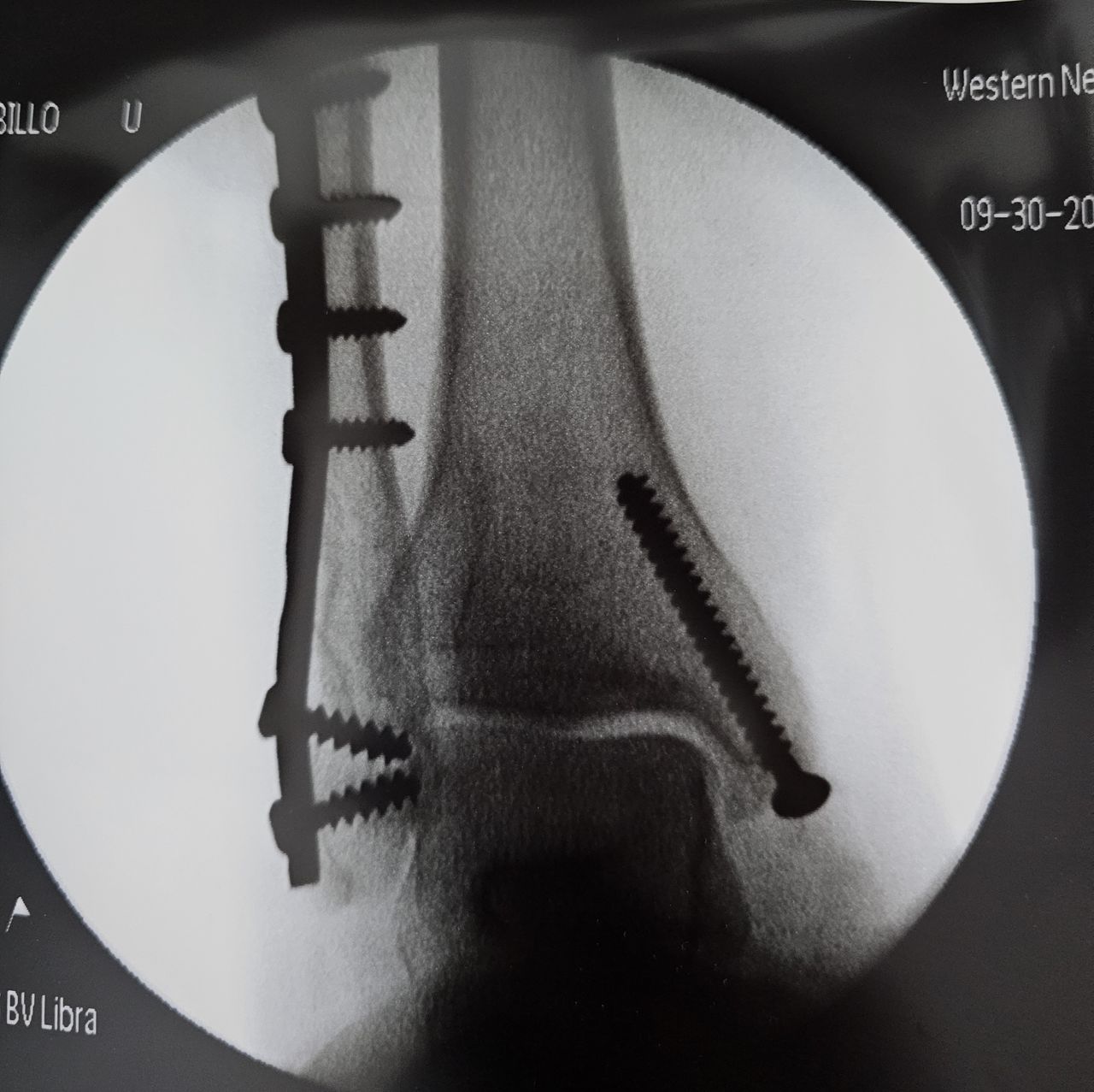 Francisco Javier Orduño Melendres-2