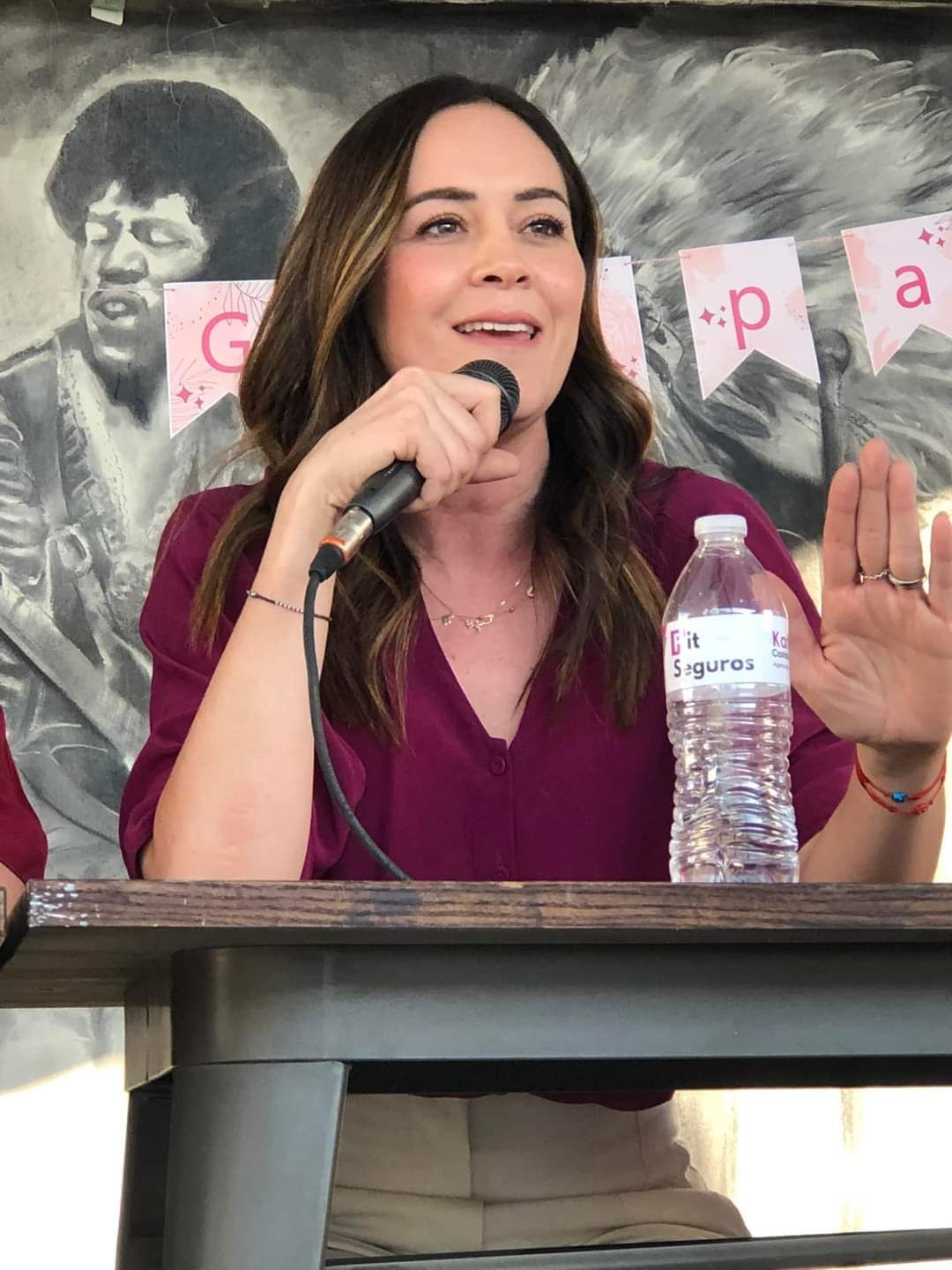 Carmen Lucía De La Torre Hernández-29