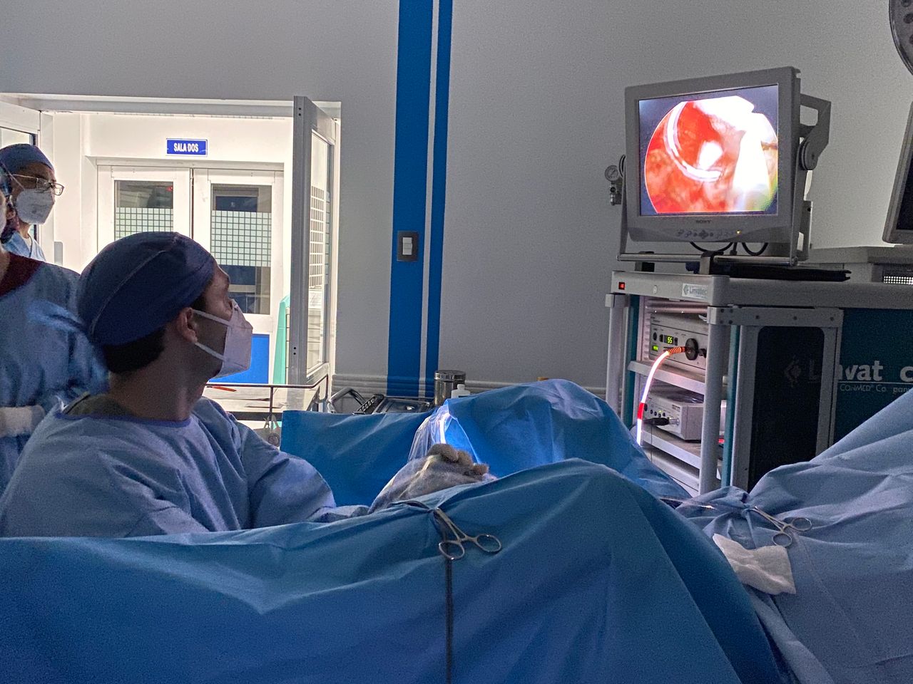 Elias Dahlhaus Rached-7