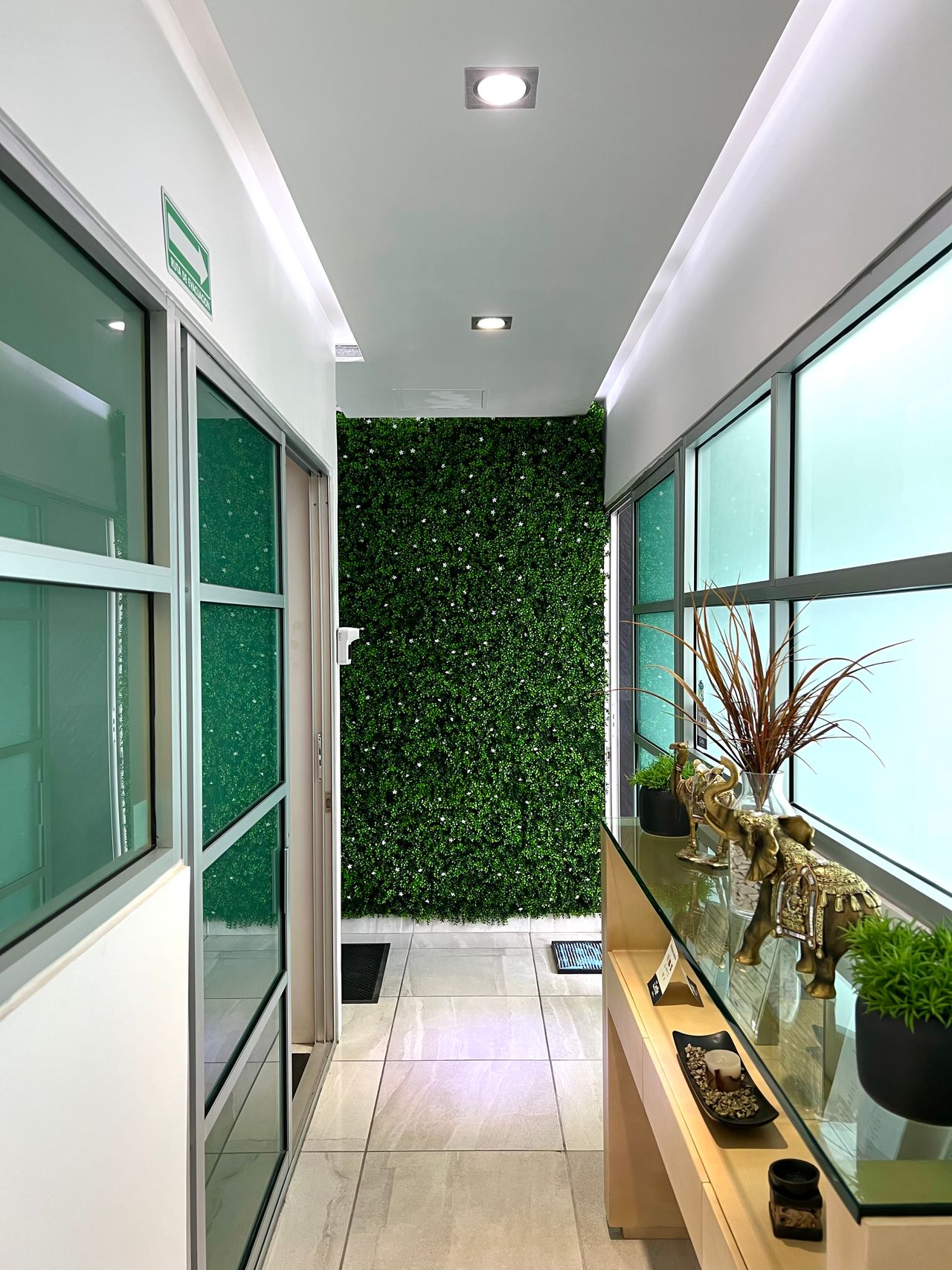 Neguib Villavicencio Raful-5