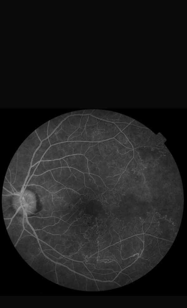 Miguel Angel Cano Quevedo-4