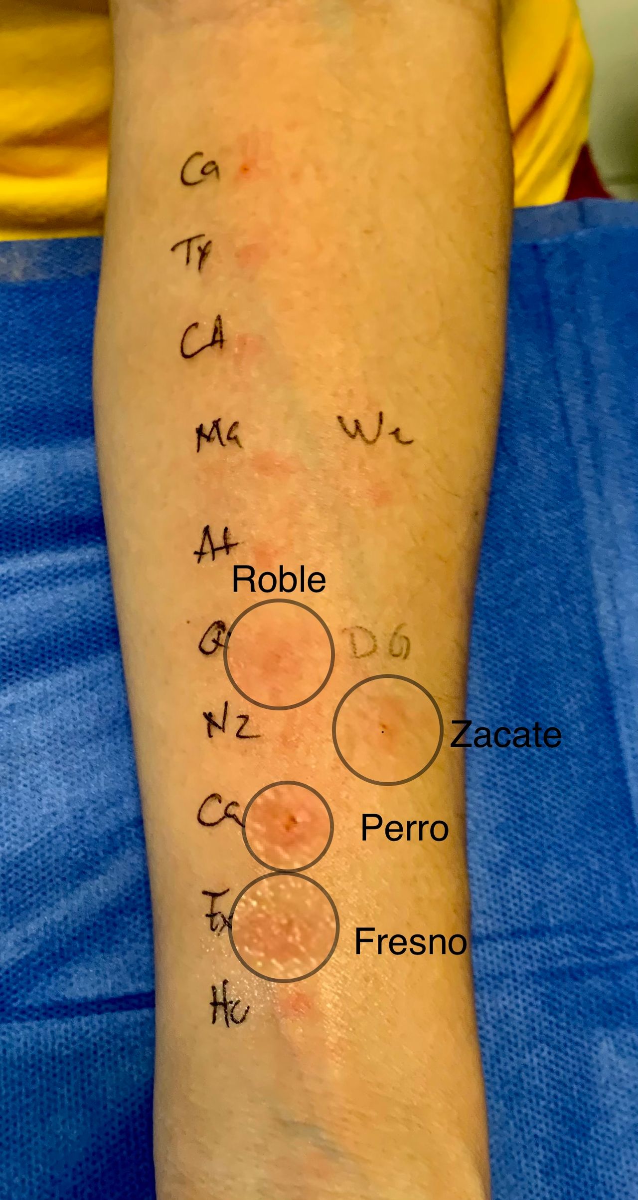 Arturo Gaspar López-13