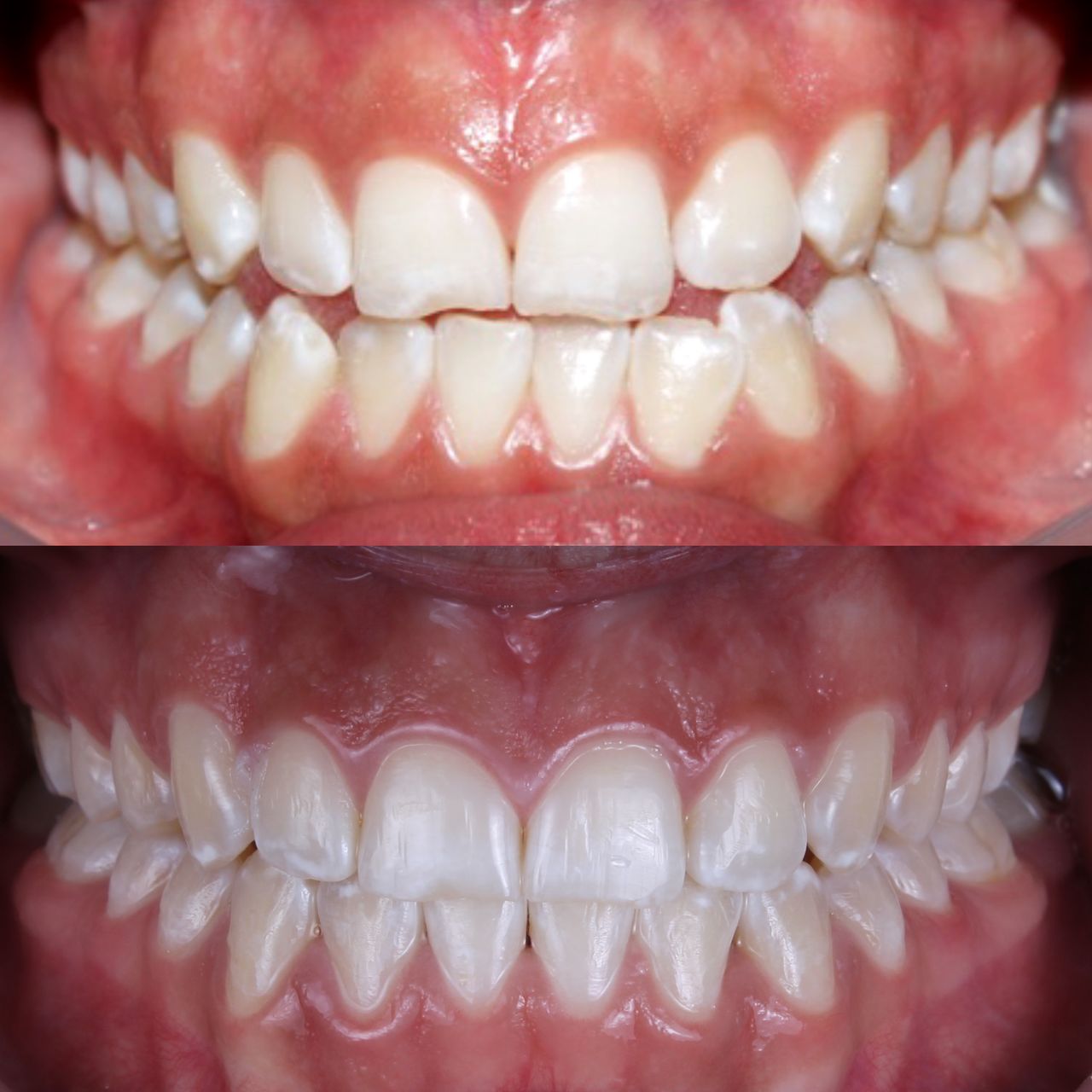 Maria José Hernández Moreno-1