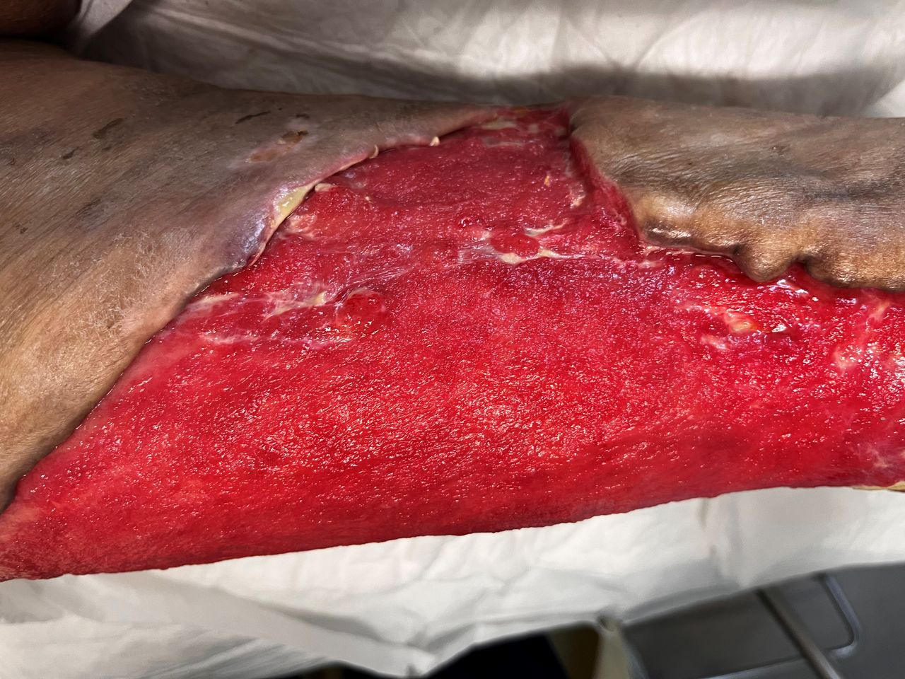 Héctor Gerardo Luján Vargas-13