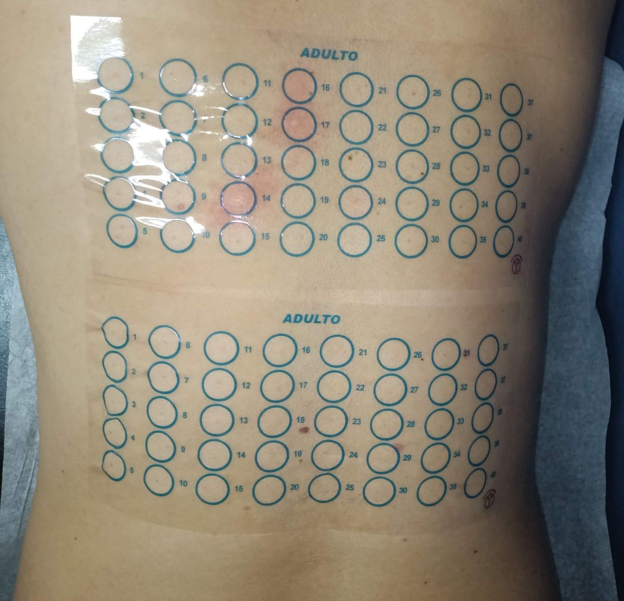 Carlos Gerardo Zuñiga Lagunes-21