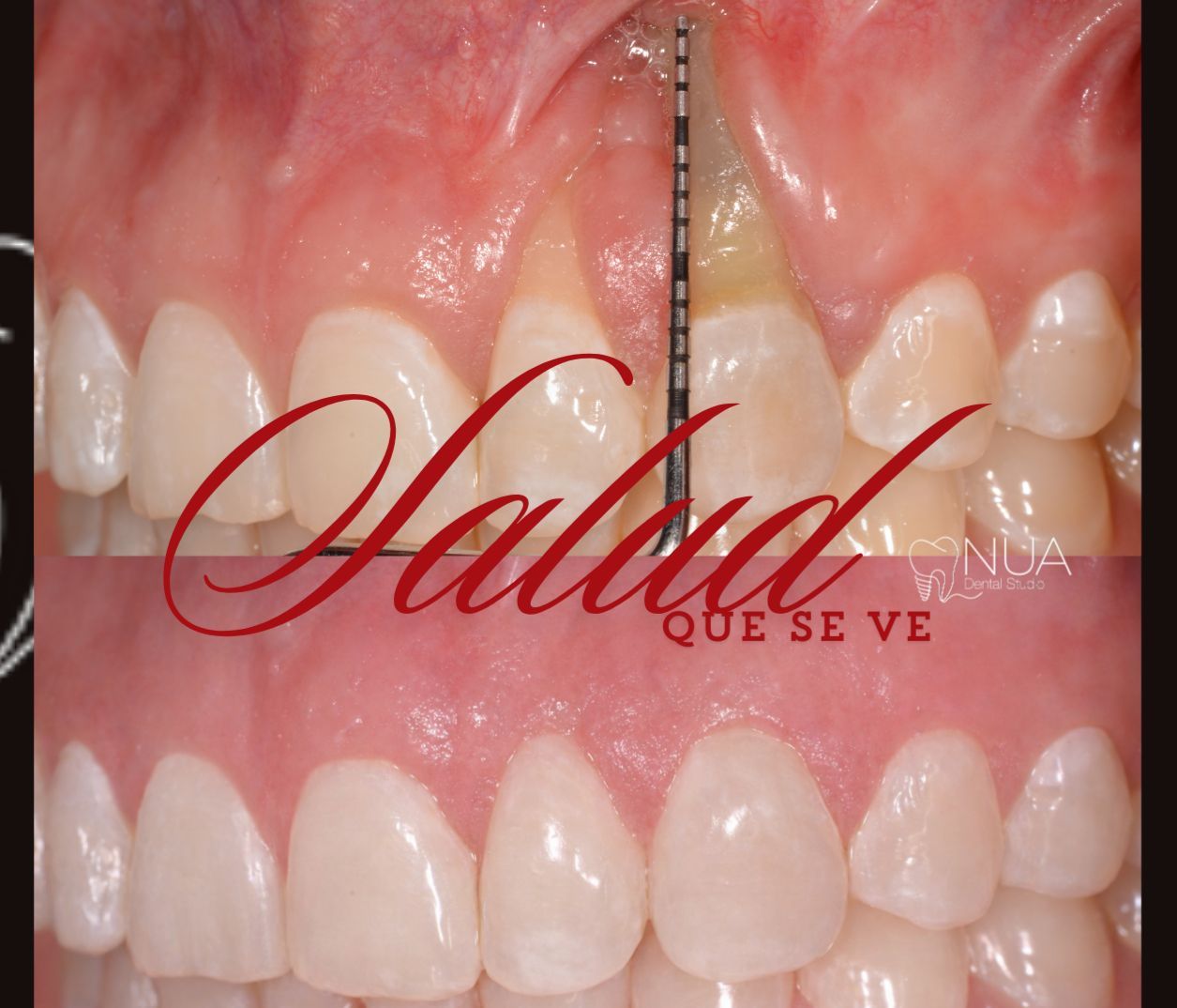 Monica Gabriela Magaña Pérez-17