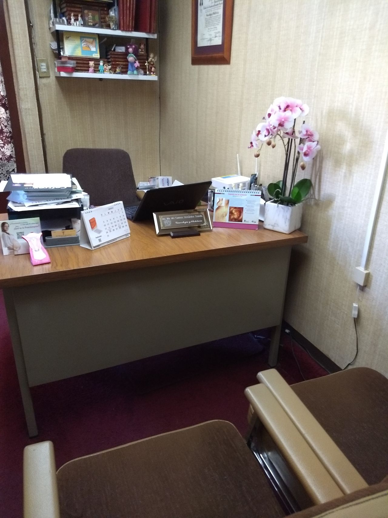 Ma. Del Carmen Hernández Ovando-5