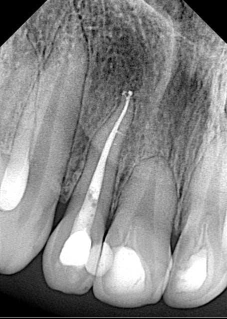 Mónica Guarneros Bautista-0