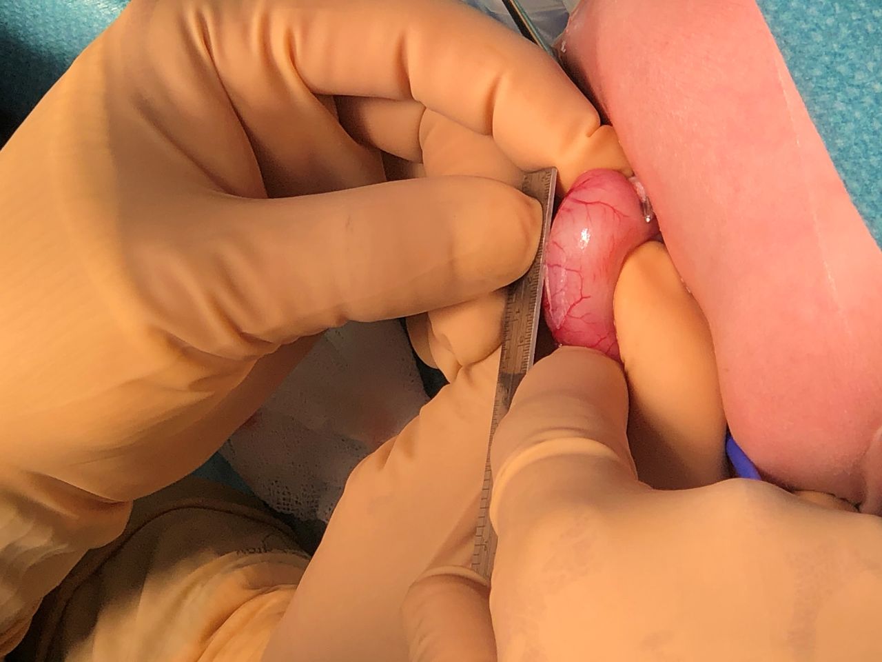 Roberto Suárez Gutiérrez-10