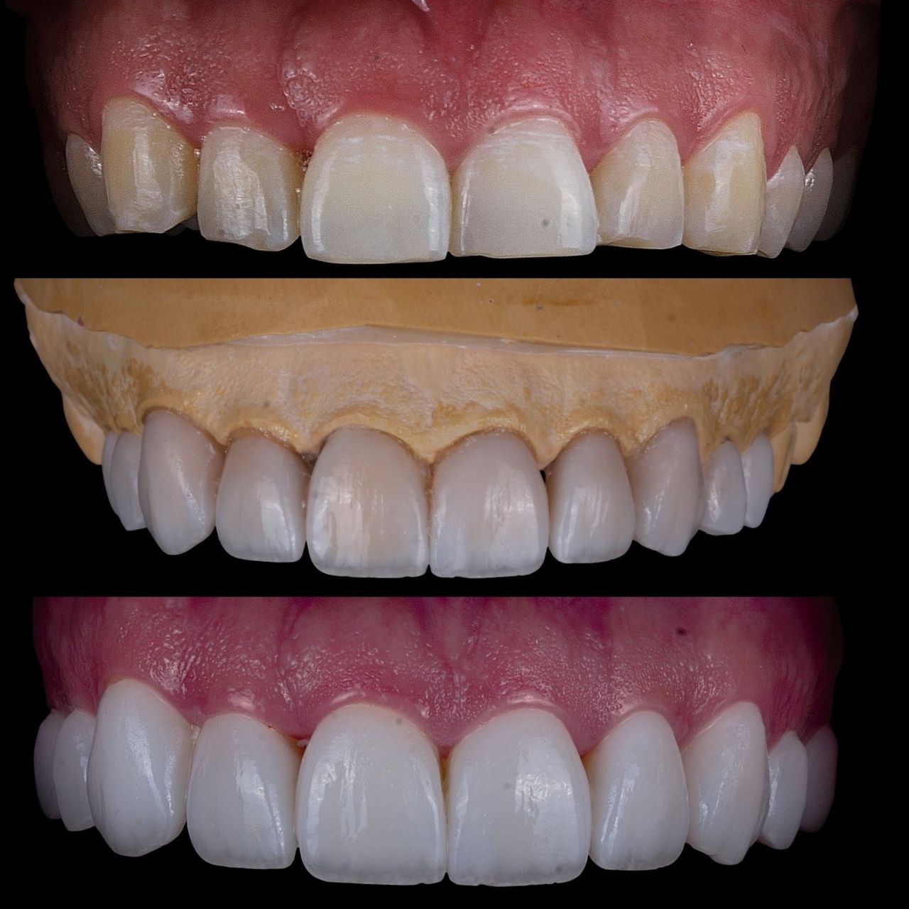 Dafne De Los Santos-8