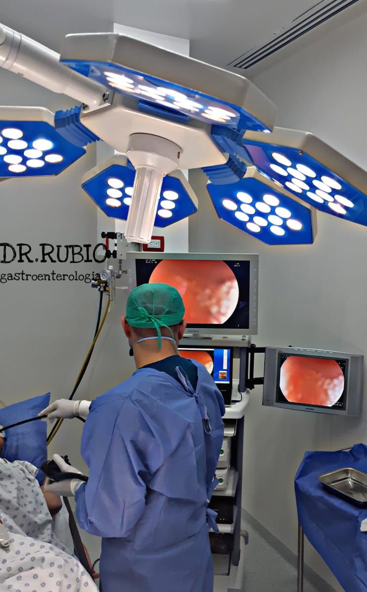 José Francisco Rubio Arce-1