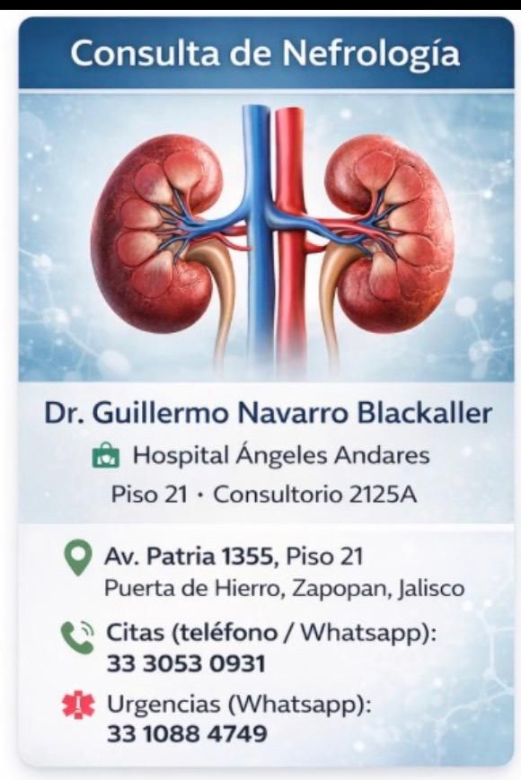 Guillermo Navarro Blackaller-12