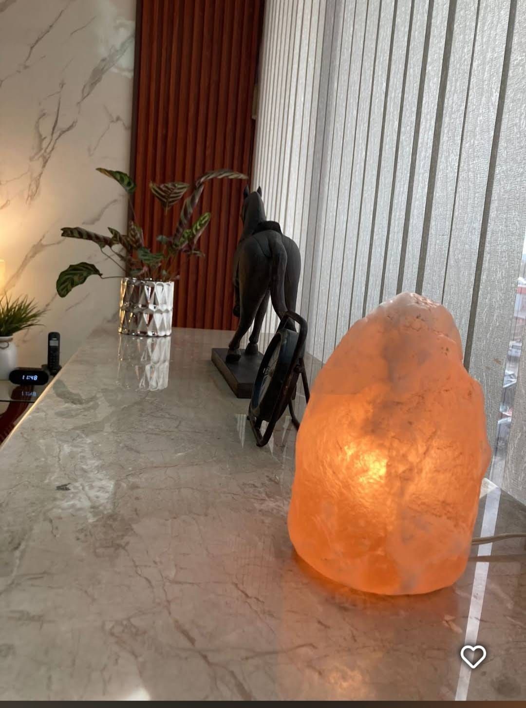 Laura López De Arriaga Candiani-21